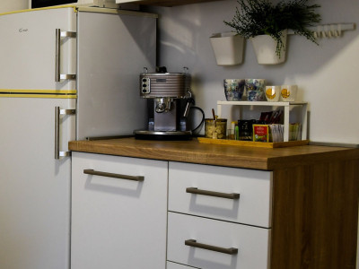 Elegantni kuhinjski elementi u apartmanu s modernim dizajnom.